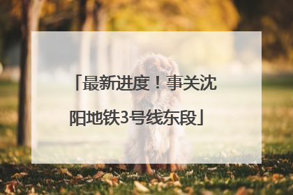 最新进度！事关沈阳地铁3号线东段